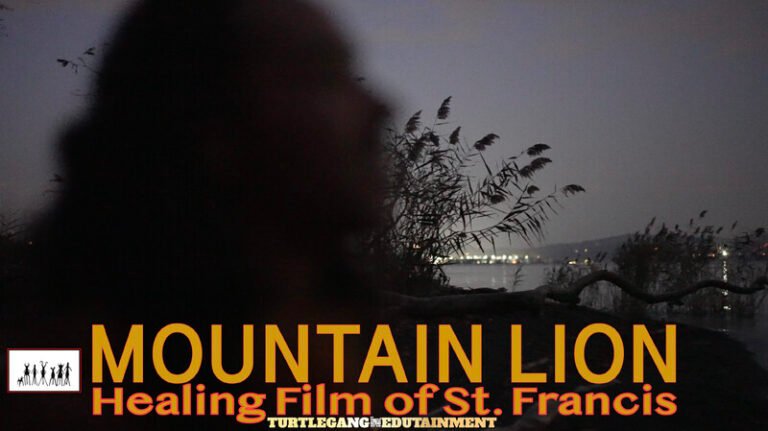 Mountain Lion: Healing Film of St. Francis