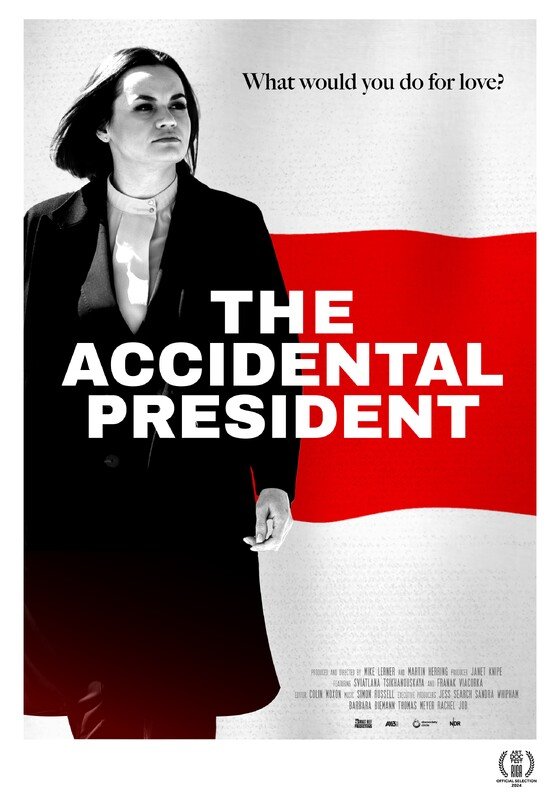 THE ACCIDENTAL PRESIDENT